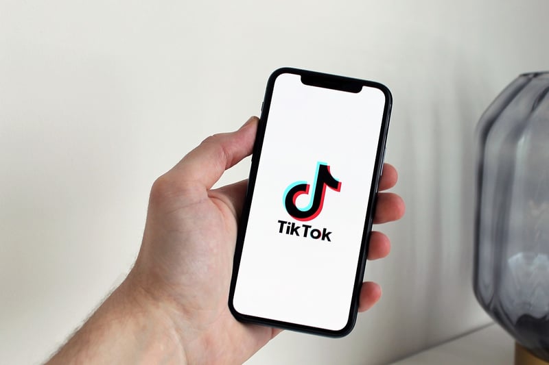 TikTok Challenges